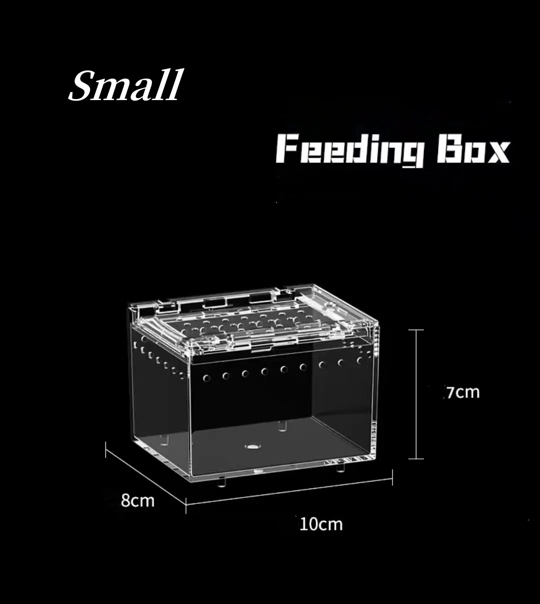 Reptile Acrylic Terrarium - Image 10